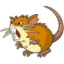 Raticate type, strengths, weaknesses, evolutions, moves, and stats -  PokéStop.io